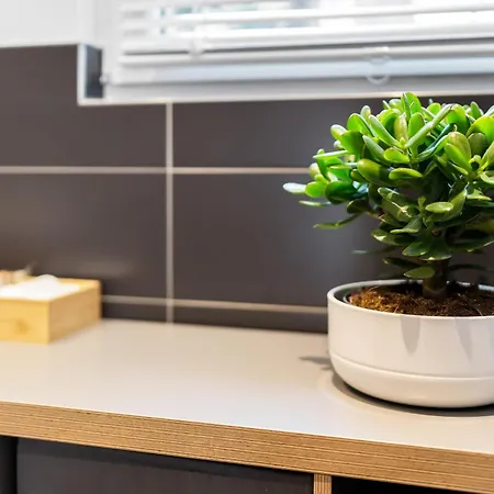 Apartmán Modern Right In Trendy Agnesviertel *