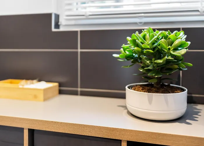 Apartamento Modern Right In Trendy Agnesviertel *